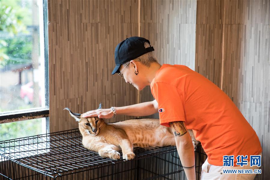 （国际）（3）探访曼谷动物咖啡馆 