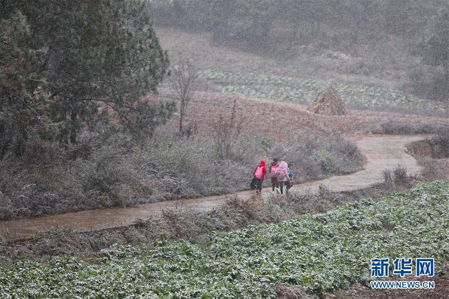 贵州西部地域迎来降雪气候