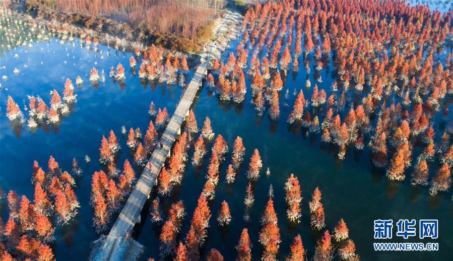 【年关报导·2019看中国】斑斓家园 生态中国