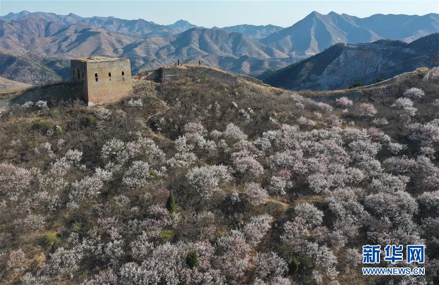 4月4日-4月10日国内一周趣图