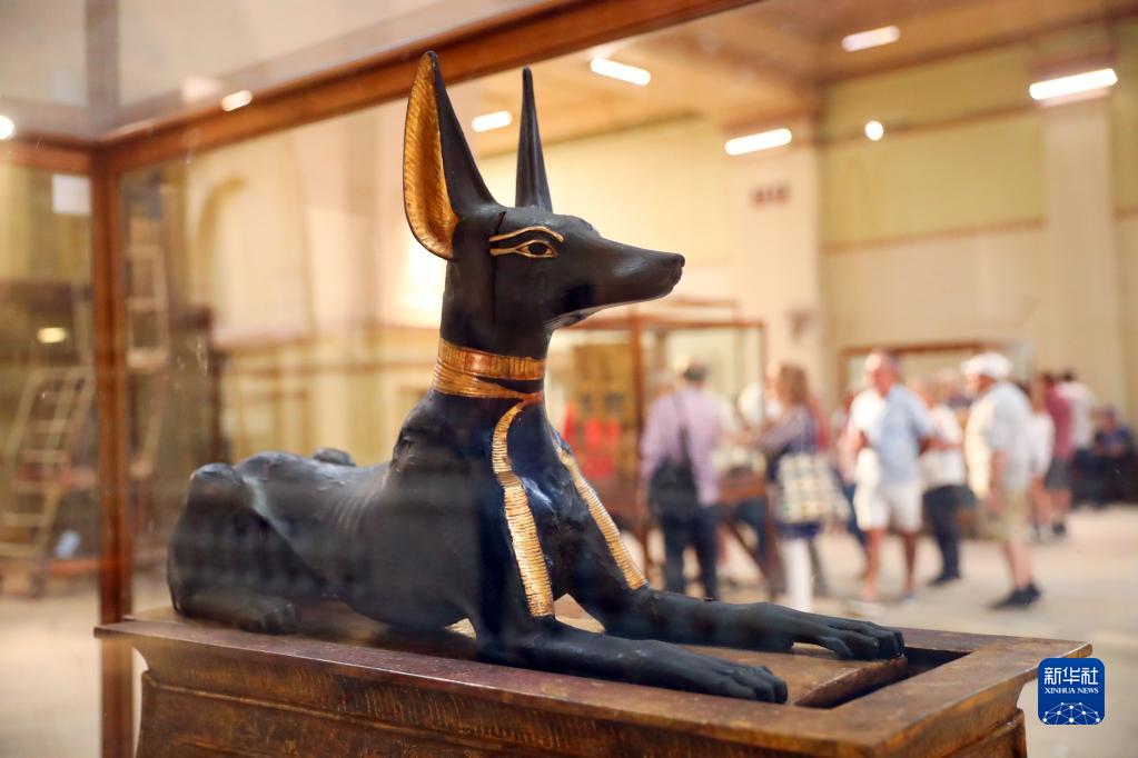 在埃及博物馆寻找阿努比斯