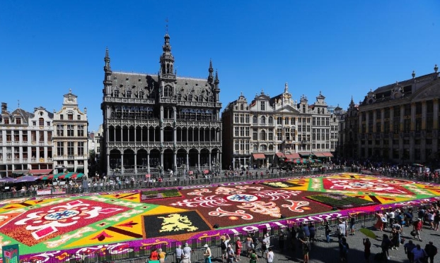 比利时布鲁塞尔举行第22届“鲜花地毯”节（高清组图）
