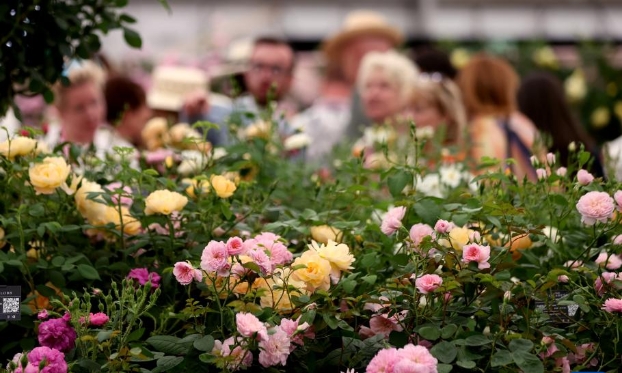  London: Chelsea Flower Show is about to open (high-definition pictures)
