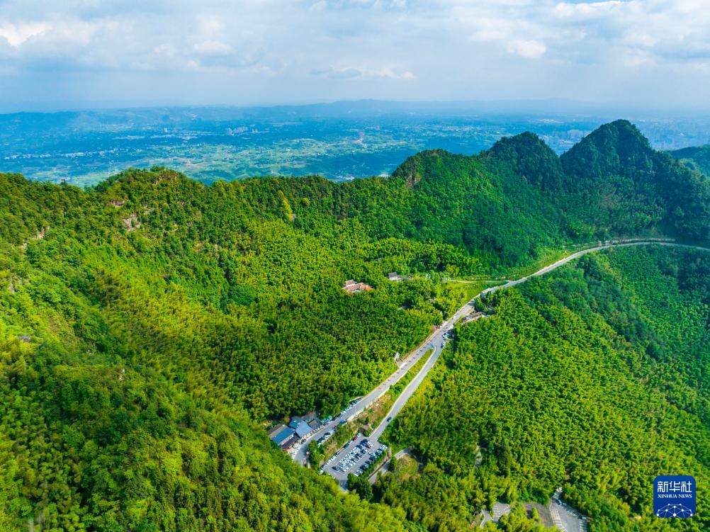  Flying to China | Chongqing: Charming Scenery of Tea Mountain and Bamboo Sea