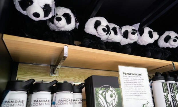 美国首都华盛顿年内将迎来新一对大熊猫（高清组图）