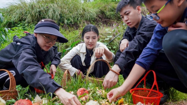 云南：山林采菌 避暑消夏