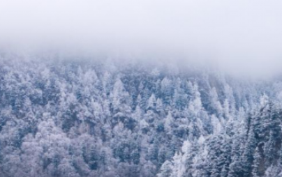 官鹅沟雪后美如画