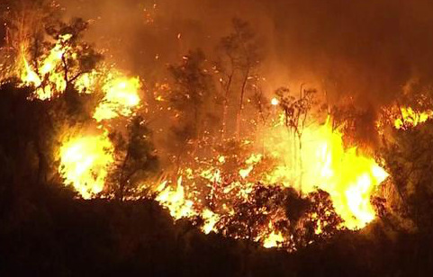 洛杉矶爆发山林大火200户居民连夜被疏散（图）