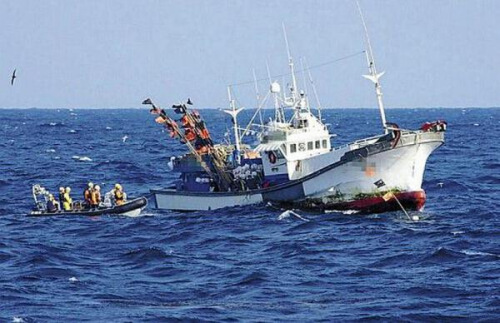 韩日举行渔业指导会议韩呼吁日方克制过度打击