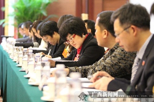 广西代表团代表在审议全国人大常委会工作报告。广西新闻网记者 杨郑宝摄