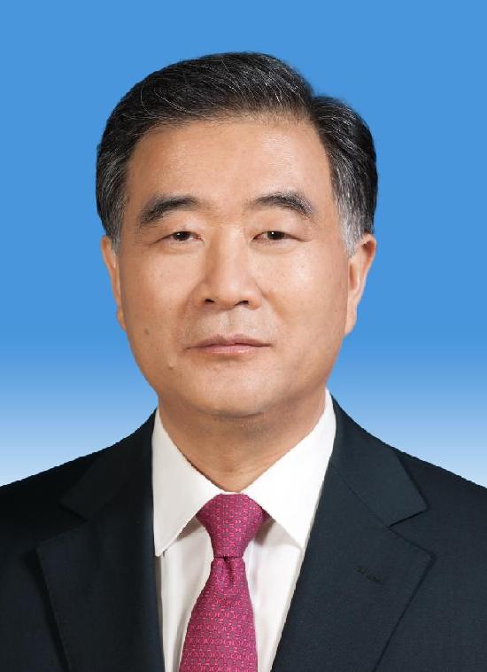 （两会）中华人民共和国国务院副总理汪洋