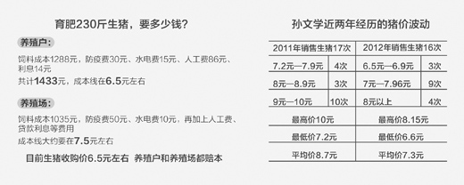 节前走高节后“跳水”猪价