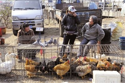 上海4岁感染H7N9禽流感男童康复