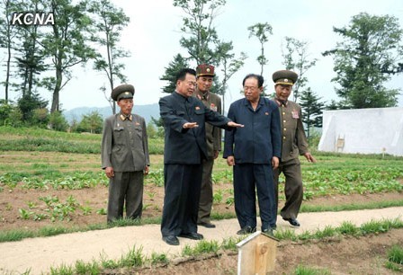 朝鲜人民军总政治局长崔龙海考察丘陵开垦情况