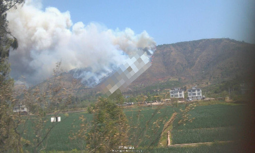 西昌马道镇后山发生森林大火（图）