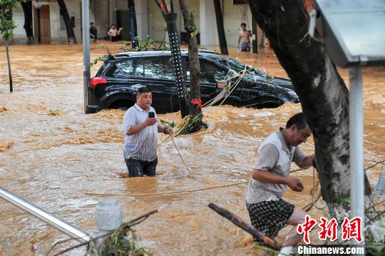 广西马山遭50年一遇洪涝农作物受灾严重（图）