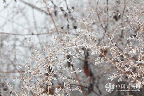 南方气温回升雪转雨 河北河南霾加重