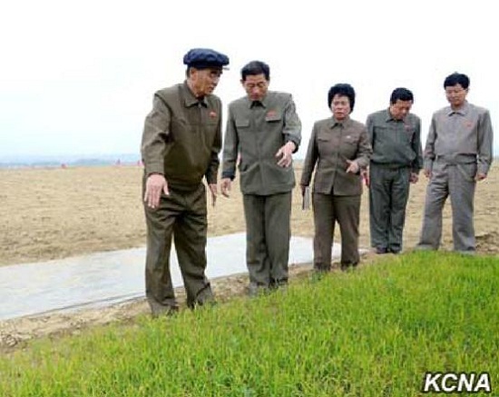 朝鲜总理考察插秧称天气干旱应解决灌溉问题