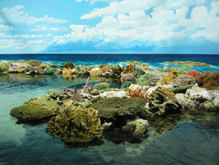 资料图：大堡礁的“护岛人”被称为“世界上最好的工作”。