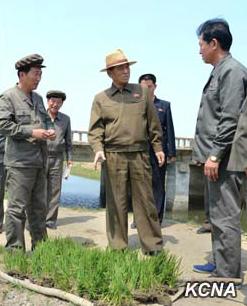 朝鲜总理考察农场要求以先进技术完成水稻插秧
