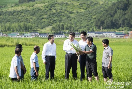  图片来源：新华社新华视点微博