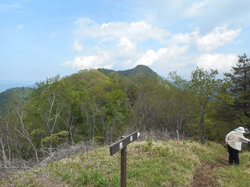 此次出事的鹿留山。