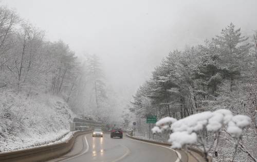 韩国首尔降下今年冬天首场雪比去年晚11天（图）