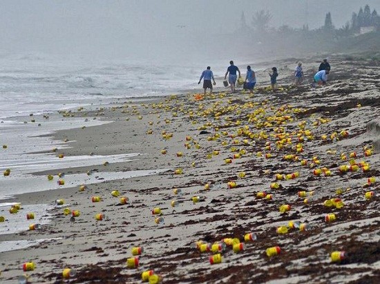 上千罐咖啡“现身”美国海滩引游人抢拾（图）