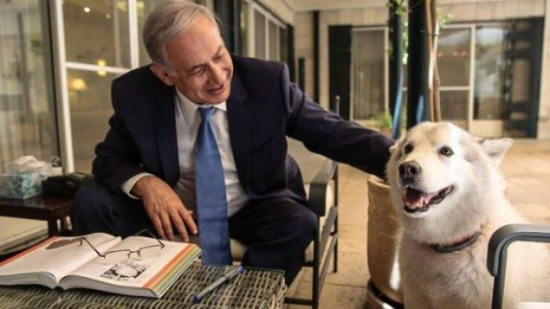 以色列总理家宠物狗咬伤来访官员被关10天禁闭（图）
