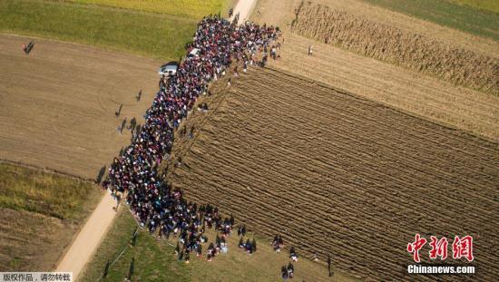 当地时间10月26日，位于斯洛文尼亚农田间的小路上，数万难民排队前行，从空中俯瞰，队伍绵延数公里。在冬季来临之际，这些难民不得不寻找下一个安身之处。斯洛文尼亚总理日前表示，欧盟各国在解决日益突出的难民危机问题上很难达成一致，严重的情况下有可能导致欧盟瓦解。这一消息促使数万的难民沿巴尔干半岛朝西欧进发。
