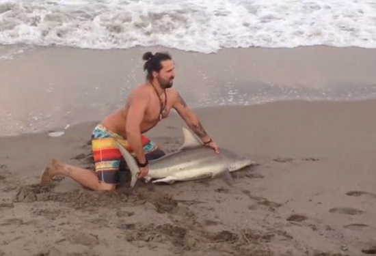 美国男子将搁浅鲨鱼拖上岸拍照网友斥“残忍”
