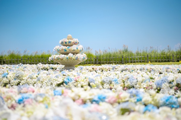 婚纱花海图片_婚纱情侣头像(3)