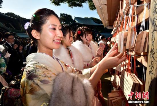 资料图：日本的导游小姐们在东京提前庆祝“成人节”，她们身着和服在日本明治神宫内举行庆祝仪式。