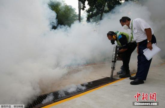 当地时间8月31日，新加坡卫生防疫人员在公共住宅区下水道喷洒驱虫药。