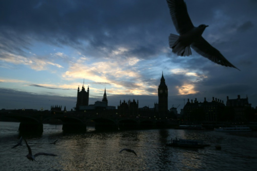 泰晤士河的落日时分：海鸥飞舞大本钟剪影依稀