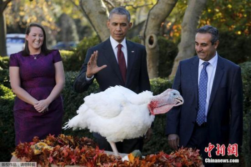 资料图：奥巴马赦免火鸡