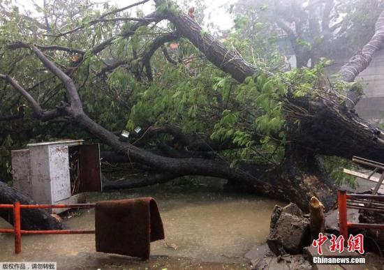 当地时间12月12日，印度钦奈，飓风“瓦达”(VARDAH)登陆印度。