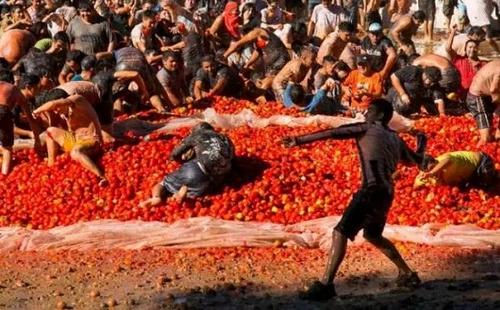 智利上演番茄大战狂欢民众红色海洋里乐翻天（图）