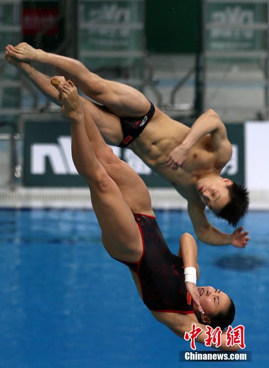 世界跳水系列赛 施廷懋,昌雅妮包揽女子3米板金银牌