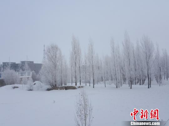 新疆阿勒泰出现大雾降温天气局地最低气温降至-16℃