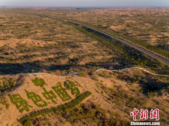 中国北方生态修复：在荒漠中“耕耘”绿色财富