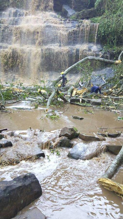 （国际）加纳一瀑布景区发生大树倒塌事故至少16人死亡
