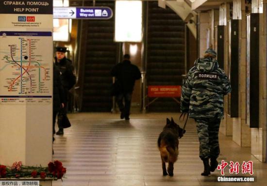 当地时间4月4日，俄罗斯圣彼得堡技术学院站内，警方带着警犬巡逻。4月3日下午，圣彼得堡地铁“干草广场站”和“技术学院站”之间的地铁车厢发生爆炸，事故造成14人死亡。