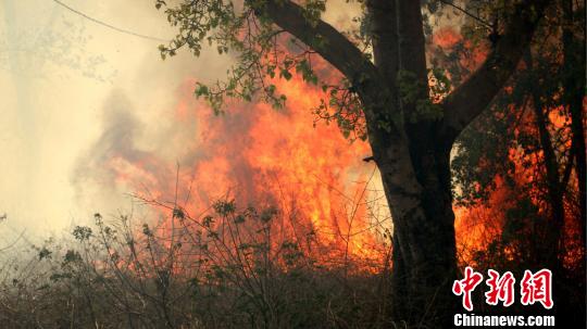 中资企业帮助扑灭尼泊尔巴迪亚国家森林公园大火