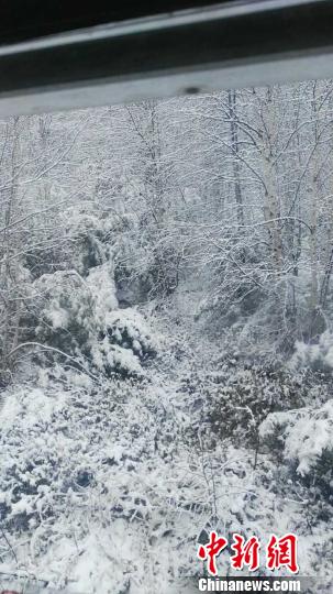 中国北方草原内蒙古立夏遭罕见“飞雪”侵袭