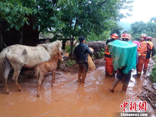 云南寻甸县多处突发洪水消防成功救出26人转移80人