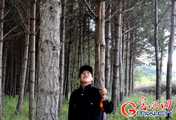 【京津冀绿色发展看河北】短视频 | 塞罕坝一线护林员：每天10小时巡查万亩林场