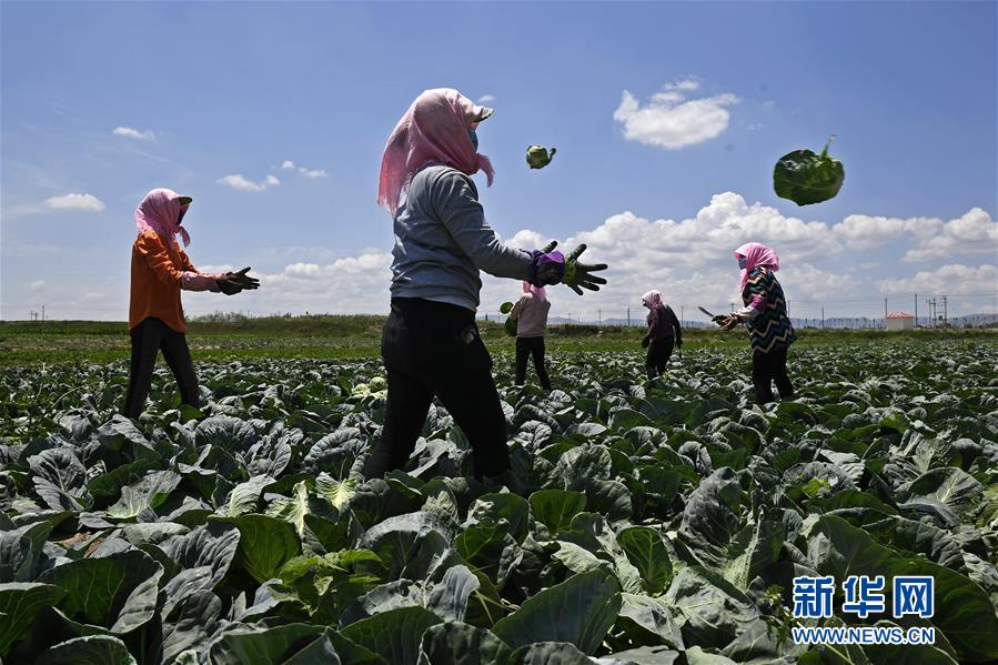 （十九大·读报告 话民生）（16）提高就业质量和人民收入水平