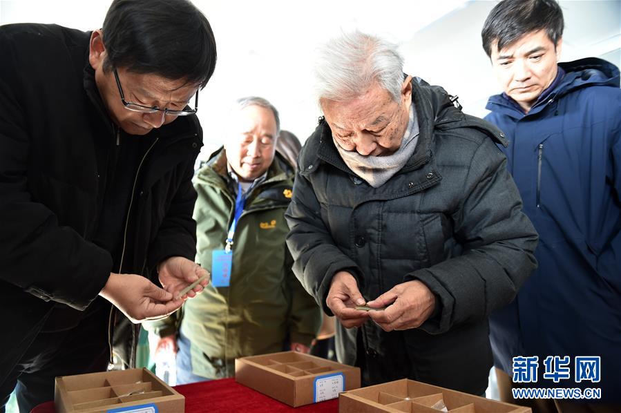 （图文互动）（4）宁夏彭阳县发现商周遗址 专家推断墓葬系诸侯级别