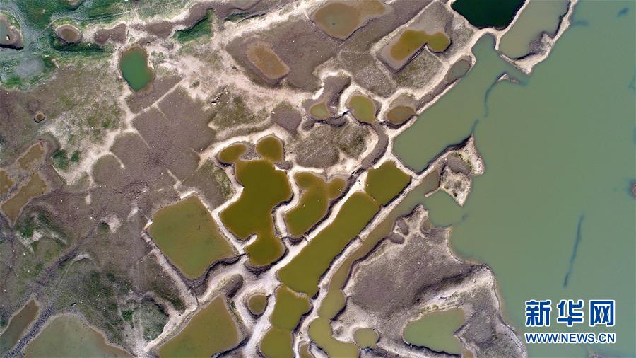 （生态）（3）鄱阳湖进入枯水期 展现“骨感之美”